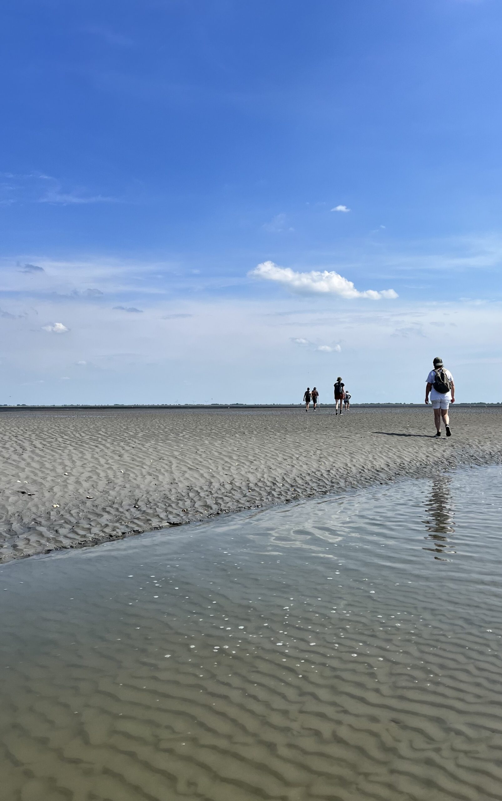 Wadlopen in stilte. Wandelyoga op het wad. Stilte wandeling op het Wad. Kundalini yoga op het Wad.
